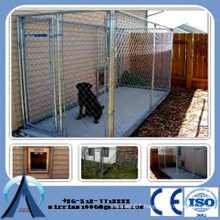 China Baochuan-- galvanized big dog kennels / chain link dog house / metal dog kennels